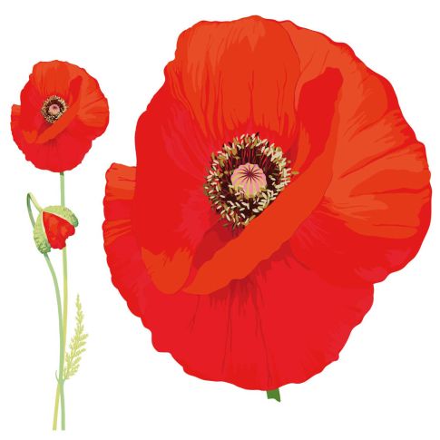 Sticker textile thermo-adhésif  7x7 cm - Coquelicot