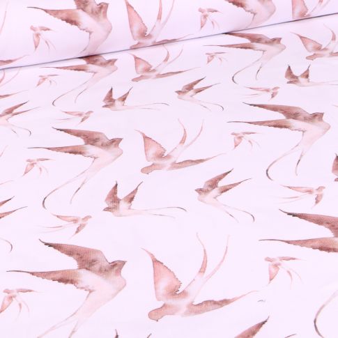 Tissu Jersey Coton Bio Hirondelle Aquarelle Beige sur fond Blanc