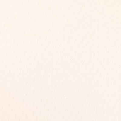 Tissu Jersey Coton ajouré uni Ecru - Par 10 cm
