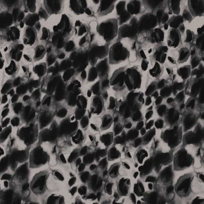 Tissu Jersey Milano Panthera sur fond Gris clair - Par 10 cm