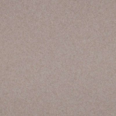Tissu Polaire doux Velours d&#039;Hivers uni Taupe - Par 10 cm