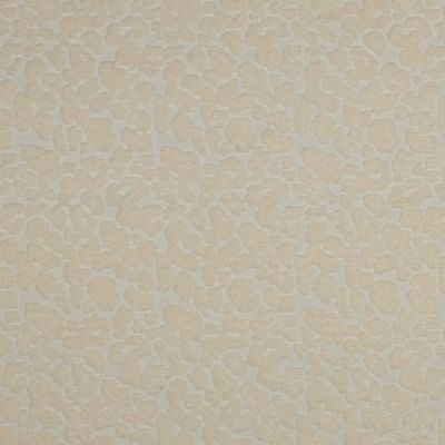 Tissu Maille  motif éponge Sarena beige sur fond Ecru - Par 10 cm