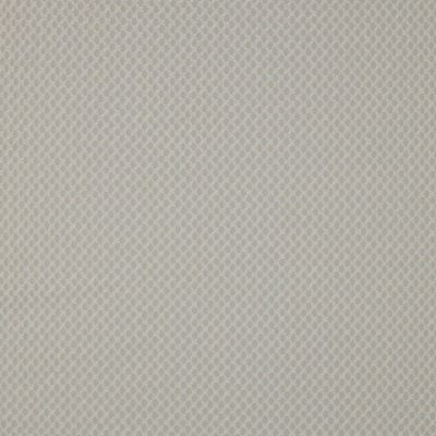 Tissu Polycoton Liam sur fond Beige - Par 10 cm