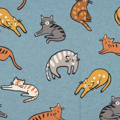 Tissu Jersey  Minouche sur fond Bleu ciel chiné - Par 10 cm