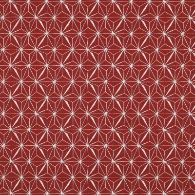 Tissu Coton enduit Casual sur fond Rouge - Par 10 cm