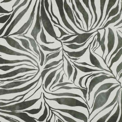 Tissu Toile Canvas Zebrana gris sur fond Blanc cassé - Par 10 cm