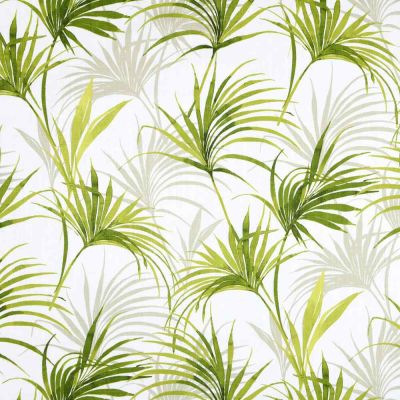 Tissu Toile Cretonne enduit  Palma Verde feuilles exotiques sur fond Blanc - Par 10 cm