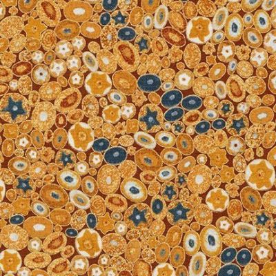Tissu Coton Robert Kaufman Gustav Klimt galets fleuris sur fond Moutarde - Par 10 cm