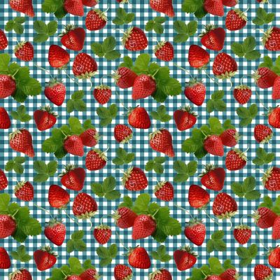 Tissu Coton imprimé Vichy canard et fraises sur fond Blanc - Par 10 cm