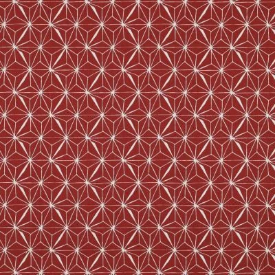 Tissu Coton enduit Casual sur fond Rouge - Par 10 cm